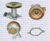 PEUGE 120169 Water Pump